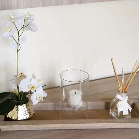 Apartment Nicchio Bright And Design Loft Siena